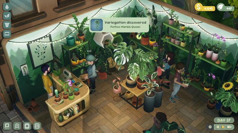 Leafy Corner image 3