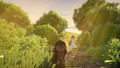 Go North thumbnail 2