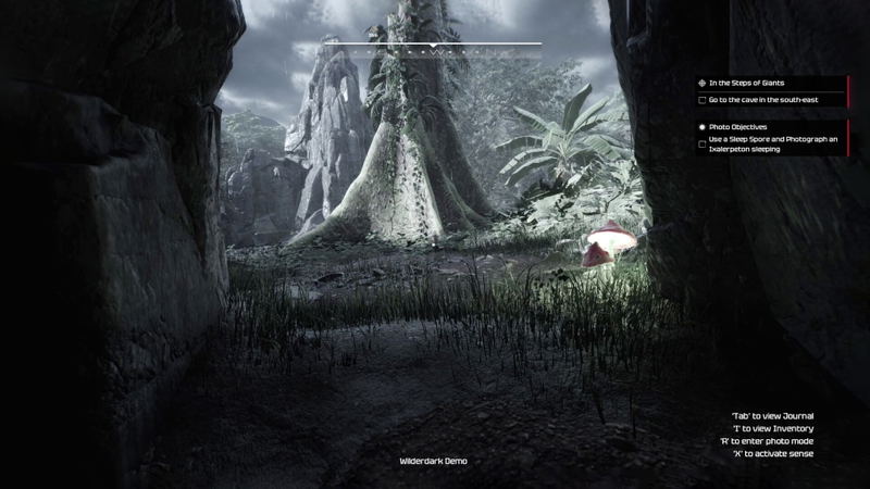 Wilderdark <span class="ext" style="background-color: #2a475e; color: #FFFFFF;">STEAM</span> <span class="ext ext_digital">digital</span> image 4