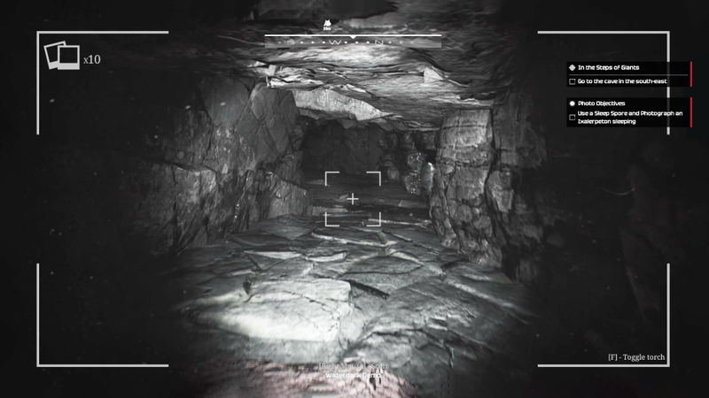 Wilderdark <span class="ext" style="background-color: #2a475e; color: #FFFFFF;">STEAM</span> <span class="ext ext_digital">digital</span> image 6