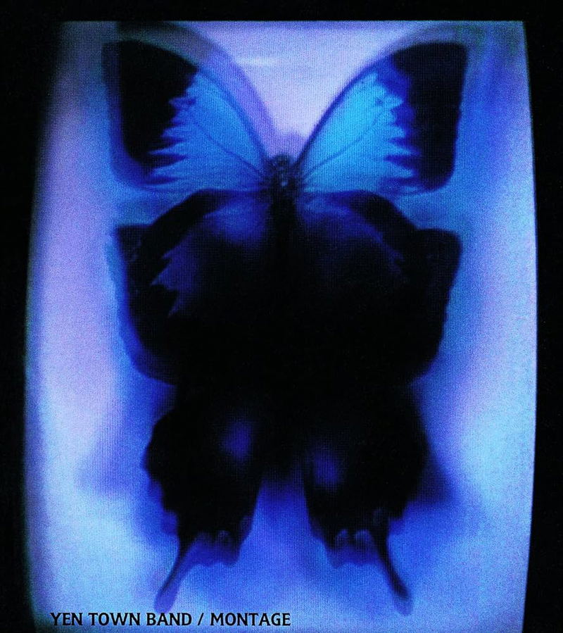 Montage [Limited Edition] (Vinyl) image 1