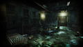 Asylum thumbnail 4