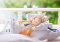figma No. 698 Blue Archive: Yurizono Seia [GSC Online Shop Exclusive Ver.] thumbnail 13