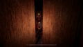 Kamla (Multi-Language) thumbnail 11