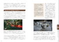 Let's Get Started With Level Design: 10 Principles For Designing Games That Captivate Players thumbnail 13