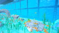 Dodo Duckie! thumbnail 7
