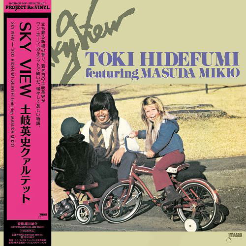 Sky View (Vinyl) image 1