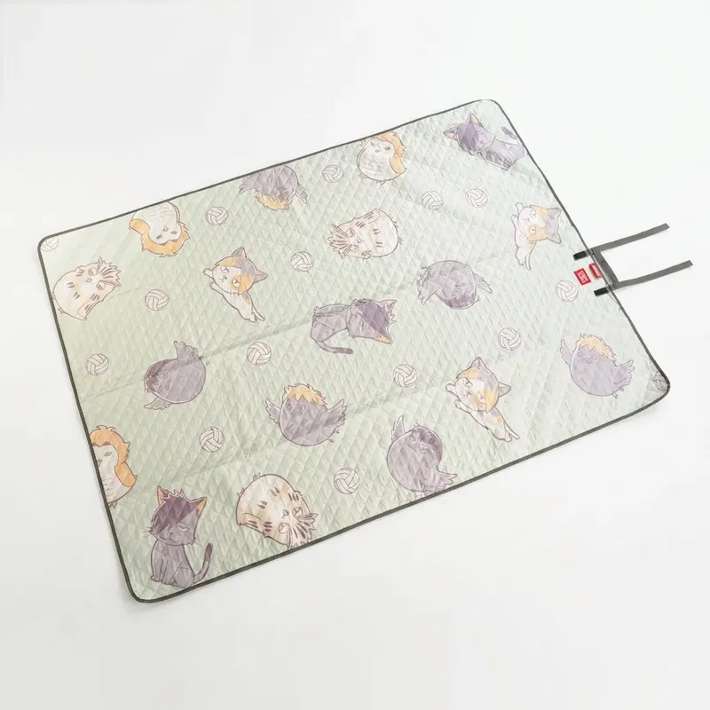Haikyu!! x Coleman Training Camp BBQ Coleman Picnic Mat image 1