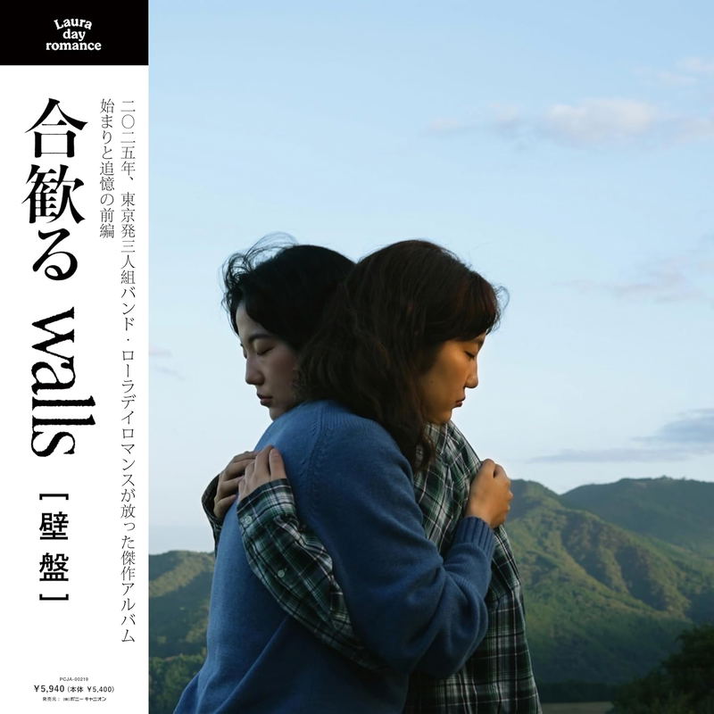 Nemuru - Walls (Vinyl) image 1
