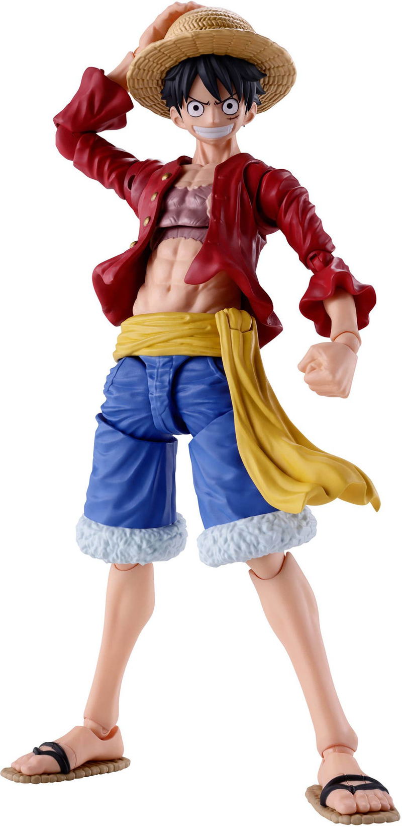S.H.Figuarts One Piece: Monkey D. Luffy Two Years Later image 1