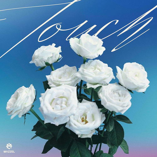 Touch [Regular Edition (First Press)] image 1