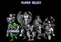 Teenage Mutant Ninja Turtles: Tournament Fighters thumbnail 7