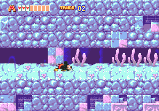 World of Illusion starring Mickey Mouse & Donald Duck image 13