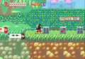 World of Illusion starring Mickey Mouse & Donald Duck thumbnail 17