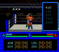 Maniac Pro Wrestling thumbnail 5