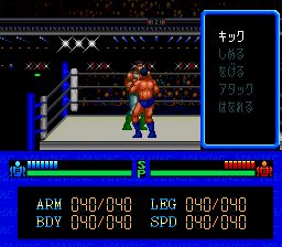Maniac Pro Wrestling image 5