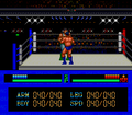 Maniac Pro Wrestling thumbnail 6