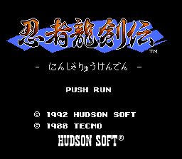 Ninja Gaiden image 2