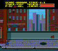 Ninja Gaiden thumbnail 3