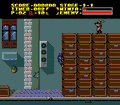Ninja Gaiden thumbnail 4