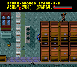 Ninja Gaiden image 4