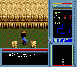 Brandish image 3