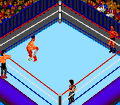 Fire Pro Wrestling: 2nd Bout thumbnail 6