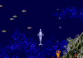 Ecco the Dolphin thumbnail 5
