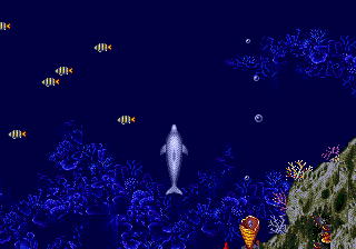 Ecco the Dolphin image 5