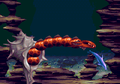 Ecco the Dolphin II thumbnail 10