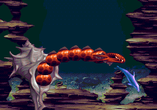 Ecco the Dolphin II image 10