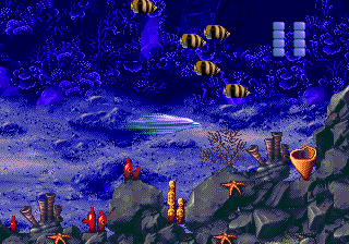 Ecco the Dolphin II image 3