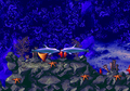 Ecco the Dolphin II thumbnail 5