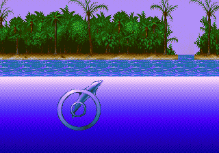 Ecco the Dolphin II image 6