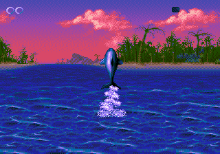 Ecco the Dolphin II image 7