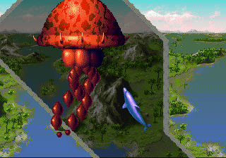 Ecco the Dolphin II image 9