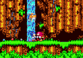 Sonic the Hedgehog 3 thumbnail 6