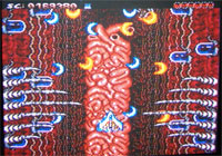 Verytex image 6