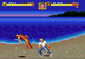 Bare Knuckle II thumbnail 12