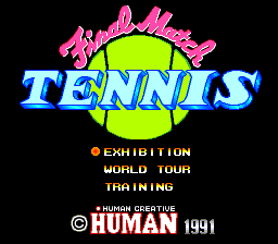 Final Match Tennis image 2