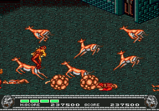 Runark image 10