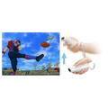 Eyeshield 21: Field no Saikyou Senshi Tachi thumbnail 2