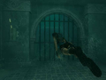 Tomb Raider Anniversary Edition thumbnail 4