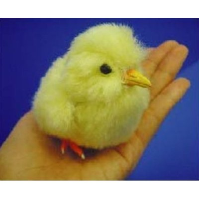 Dream Chick image 4