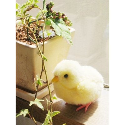 Dream Chick image 6