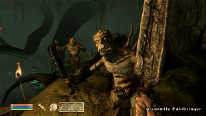The Elder Scrolls IV: Shivering Isles (DVD-ROM)