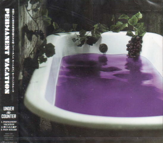 Permanent Vacation image 1
