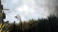 Battlefield 2: Modern Combat (Platinum Collection) thumbnail 5