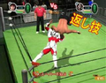 All Star Pro-Wrestling III thumbnail 8