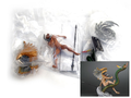 Shin Megami Tensei Nocturne One Coin Figure Series Part 6 thumbnail 3